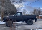 Thumbnail Photo 1 for 1976 Chevrolet C/K Truck
