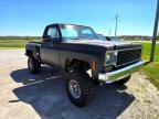 Thumbnail Photo 2 for 1976 Chevrolet C/K Truck K10