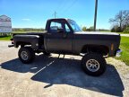 Thumbnail Photo 3 for 1976 Chevrolet C/K Truck K10