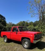 Thumbnail Photo 2 for 1976 Chevrolet C/K Truck