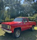 Thumbnail Photo 1 for 1976 Chevrolet C/K Truck