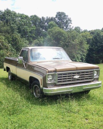 1976 Chevrolet C/K Truck C20