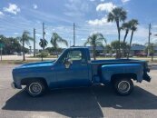 1976 Chevrolet C/K Truck