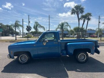 1976 Chevrolet C/K Truck