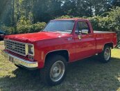 1976 Chevrolet C/K Truck