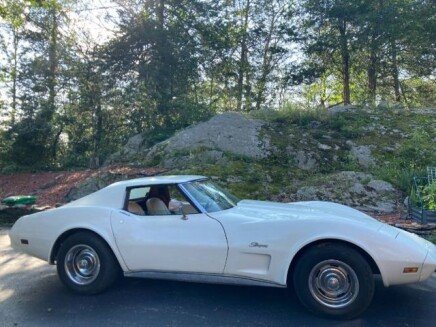 Photo 1 for 1976 Chevrolet Corvette