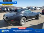 Thumbnail Photo 4 for New 1976 Chevrolet Corvette