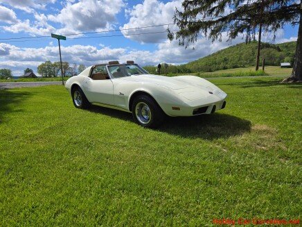 Photo 1 for 1976 Chevrolet Corvette Coupe