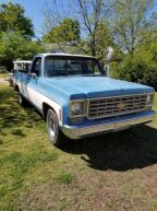 Thumbnail Photo 1 for 1976 Chevrolet Other Chevrolet Models