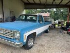 Thumbnail Photo 3 for 1976 Chevrolet Other Chevrolet Models