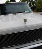 Thumbnail Photo 3 for 1976 Chevrolet Other Chevrolet Models