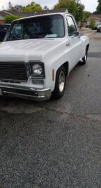 Thumbnail Photo 4 for 1976 Chevrolet Other Chevrolet Models