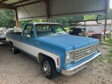 1976 Chevrolet Other Chevrolet Models