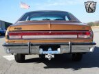 Thumbnail Photo 6 for 1976 Dodge Aspen