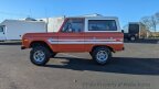 Thumbnail Photo 4 for 1976 Ford Bronco