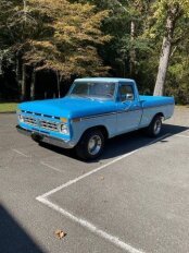 1976 Ford F100