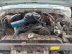 Thumbnail Photo 2 for 1976 Ford F250