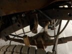 Thumbnail Photo 6 for 1976 International Harvester Scout