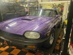 Thumbnail Photo 5 for 1976 Jaguar XJS