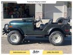 Thumbnail Photo 1 for 1976 Jeep CJ-5