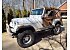 1976 Jeep CJ-7