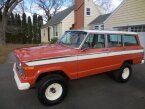 Thumbnail Photo 1 for 1976 Jeep Wagoneer