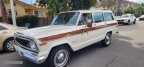 Thumbnail Photo 1 for 1976 Jeep Wagoneer
