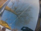 Thumbnail Photo 2 for 1976 MG MGB