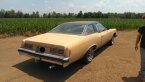 Thumbnail Photo 3 for 1976 Pontiac Catalina