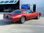 Thumbnail Photo 5 for 1976 Pontiac Firebird Trans Am