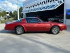 Thumbnail Photo 4 for 1976 Pontiac Firebird Trans Am