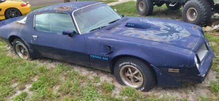 Photo 1 for 1976 Pontiac Firebird Trans Am