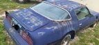 Thumbnail Photo 1 for 1976 Pontiac Firebird Trans Am