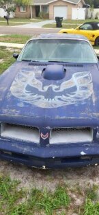 Thumbnail Photo 3 for 1976 Pontiac Firebird Trans Am