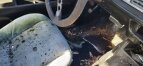 Thumbnail Photo 5 for 1976 Pontiac Firebird Trans Am