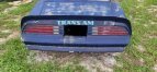 Thumbnail Photo 2 for 1976 Pontiac Firebird Trans Am