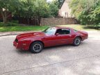 Thumbnail Photo 6 for 1976 Pontiac Firebird