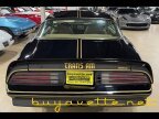 Thumbnail Photo 5 for 1976 Pontiac Firebird