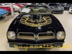 Thumbnail Photo 4 for 1976 Pontiac Firebird