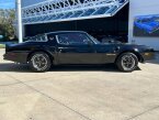 Thumbnail Photo 4 for 1976 Pontiac Firebird Trans Am