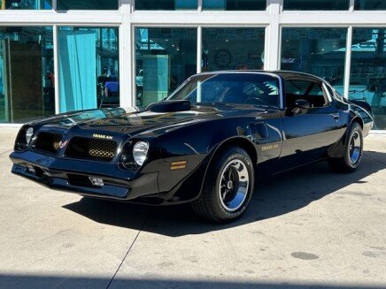 Photo 1 for 1976 Pontiac Firebird Trans Am