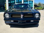 Thumbnail Photo 2 for 1976 Pontiac Firebird Trans Am