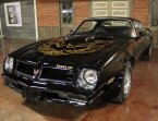 Thumbnail Photo 2 for 1976 Pontiac Firebird