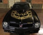 Thumbnail Photo 3 for 1976 Pontiac Firebird