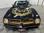 Thumbnail Photo 4 for 1976 Pontiac Firebird