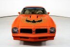 Thumbnail Photo 4 for 1976 Pontiac Firebird