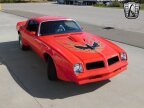Thumbnail Photo 6 for 1976 Pontiac Firebird Trans Am