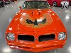 Thumbnail Photo 6 for 1976 Pontiac Firebird Trans Am