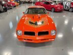 Thumbnail Photo 2 for 1976 Pontiac Firebird Trans Am