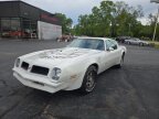 Thumbnail Photo 4 for 1976 Pontiac Firebird Trans Am